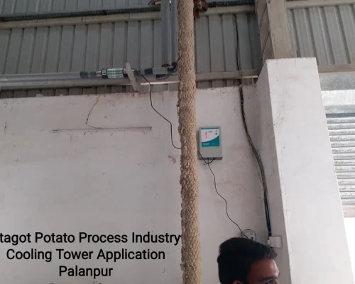 Stagot-Potato-Process-Industry-Palanpur-jpg